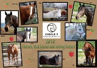 Adoptions 2010