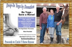 Do Yoga Save a Horse