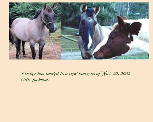 Flicker