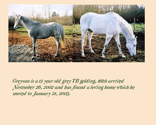 Greyson