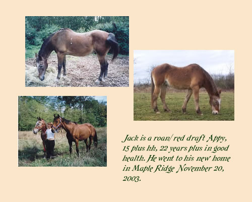 Jack