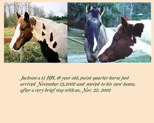 Jackson