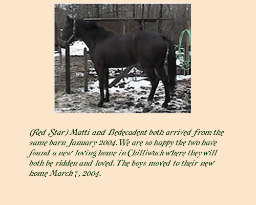 Matti