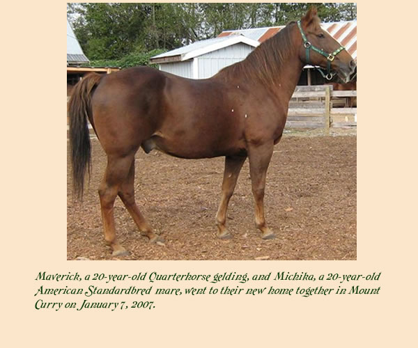 Maverick