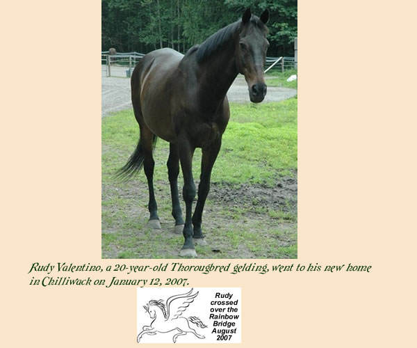 Rudy Valentino
