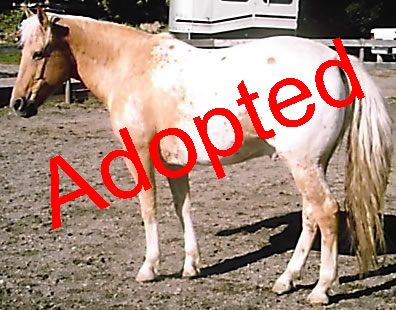 Adopted